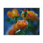 A beautiful bunch of roses and meaning post card