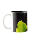 A Beautiful Flower Mug