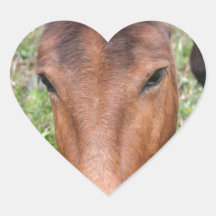 A Beautiful Grazing Horse Heart Sticker