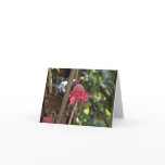 A Beautiful Note Card