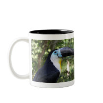 A Beautiful Toucan Photo Coffee Mugs