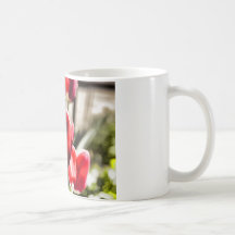 A beautiful Tulip Mugs