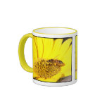 A Bee in your Tea Mugs