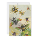 A Bevy of Bees Party Invitation