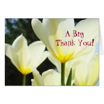 A Big Thank You! Cards White Yellow Tulip Flowers