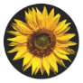A Big Yellow Sunflower Stickers