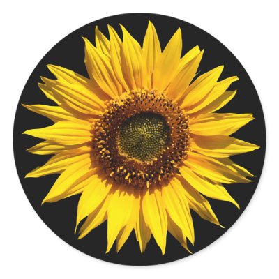 A Big Yellow Sunflower Stickers by TypographicTees