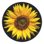 A Big Yellow Sunflower stickers