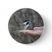 A Bird in the Hand Pinback Button