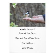 A Bird in the Hand Custom Announcement