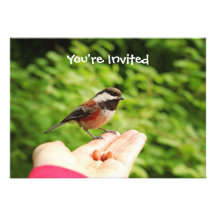 A Bird in the Hand Personalised Invite