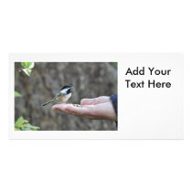 A Bird in the Hand Custom Photo Card