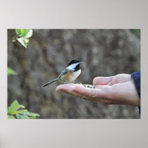 A Bird in the Hand Poster
