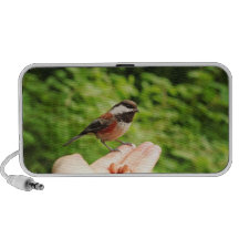 A Bird in the Hand Speakers