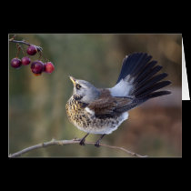 A Birdie's Tail Card