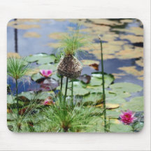 A Birds Nest Mousemats