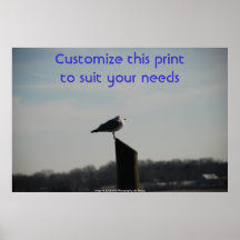 A Birds Serenity In The Evening Hours Print
