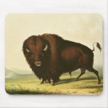 A Bison, c.1832 Mousepads