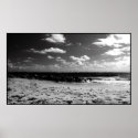 A Black and White Beach Scene posters