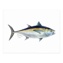 A Blackfin Tuna postcard.