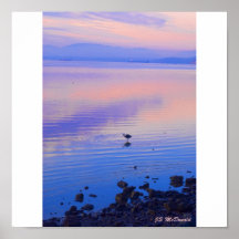 A Blue Heron Day Print