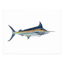 A Blue Marlin fish postcard