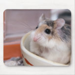 a bowl of Tofu (mousepad)