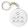 A Breakdown Of Caffeine (Caffeine Metabolites) Key Chains
