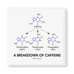 A Breakdown Of Caffeine (Caffeine Metabolites) Refrigerator Magnet