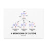 A Breakdown Of Caffeine (Caffeine Metabolites) Post Cards