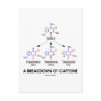 A Breakdown Of Caffeine (Caffeine Metabolites) Post Cards