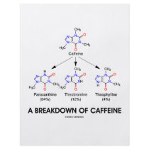 A Breakdown Of Caffeine (Chemical Molecules)