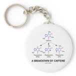 A Breakdown Of Caffeine (Chemical Molecules)