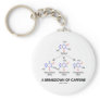 A Breakdown Of Caffeine (Chemical Molecules)