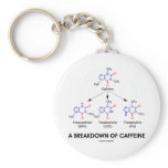 A Breakdown Of Caffeine (Chemical Molecules)