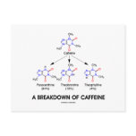 A Breakdown Of Caffeine (Chemical Molecules)