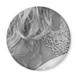 A Bride's Promise magnets