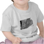 A Bride's Promise T Shirts