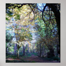 A Bright but Chilly Stroll. Print