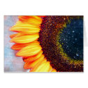 A Brilliant Orange Sunflower cards