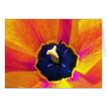 A Bug's View Tulip 3 Greeting Card