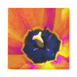A Bug's View Tulip 3 Magnet