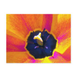 A Bug's View Tulip 3 Postcard