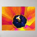 A Bug's View Tulip 3 Poster