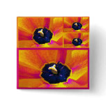 A Bug's View Tulip Button