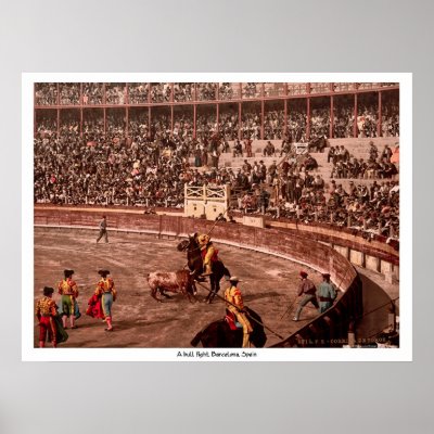 A bull fight, Barcelona, Spain by eyecandy