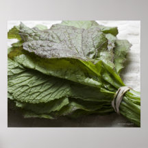 A bunch of fresh mustard greens, from a farmer's posters