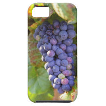 A bunch of Pinot Noir grapes in a Chambertin iPhone 5 Covers