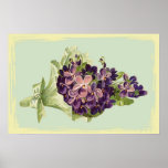 A Bunch of Purple Flowers Poster posters