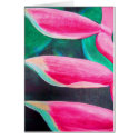 a burst of colour cards
